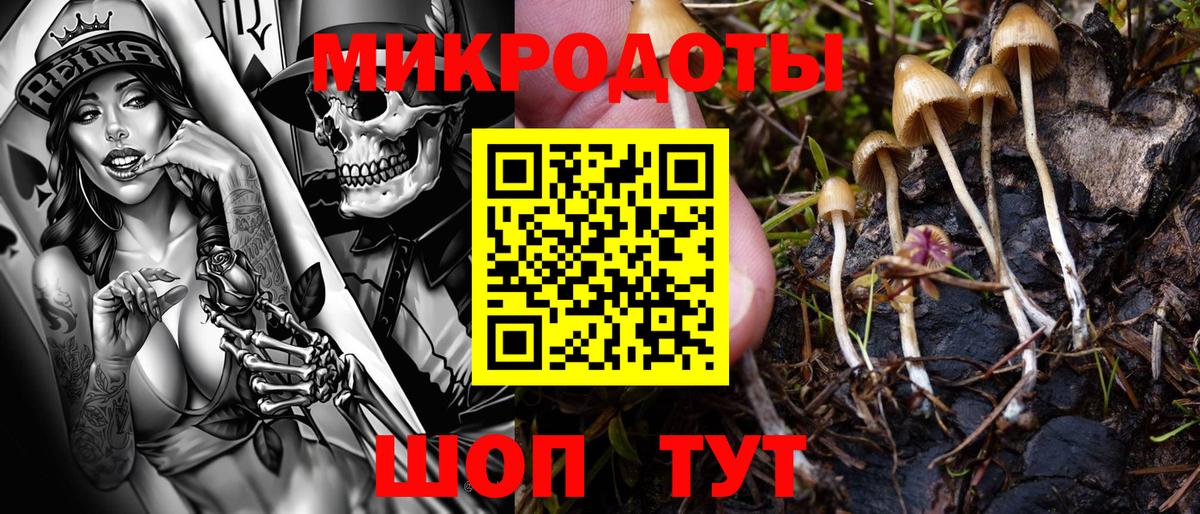Саров  Псилоцибиновые грибы GOLDEN TEACHER  Вход с VPN 